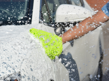 Grinch Chenille Wash Mitt, 1500 GSM