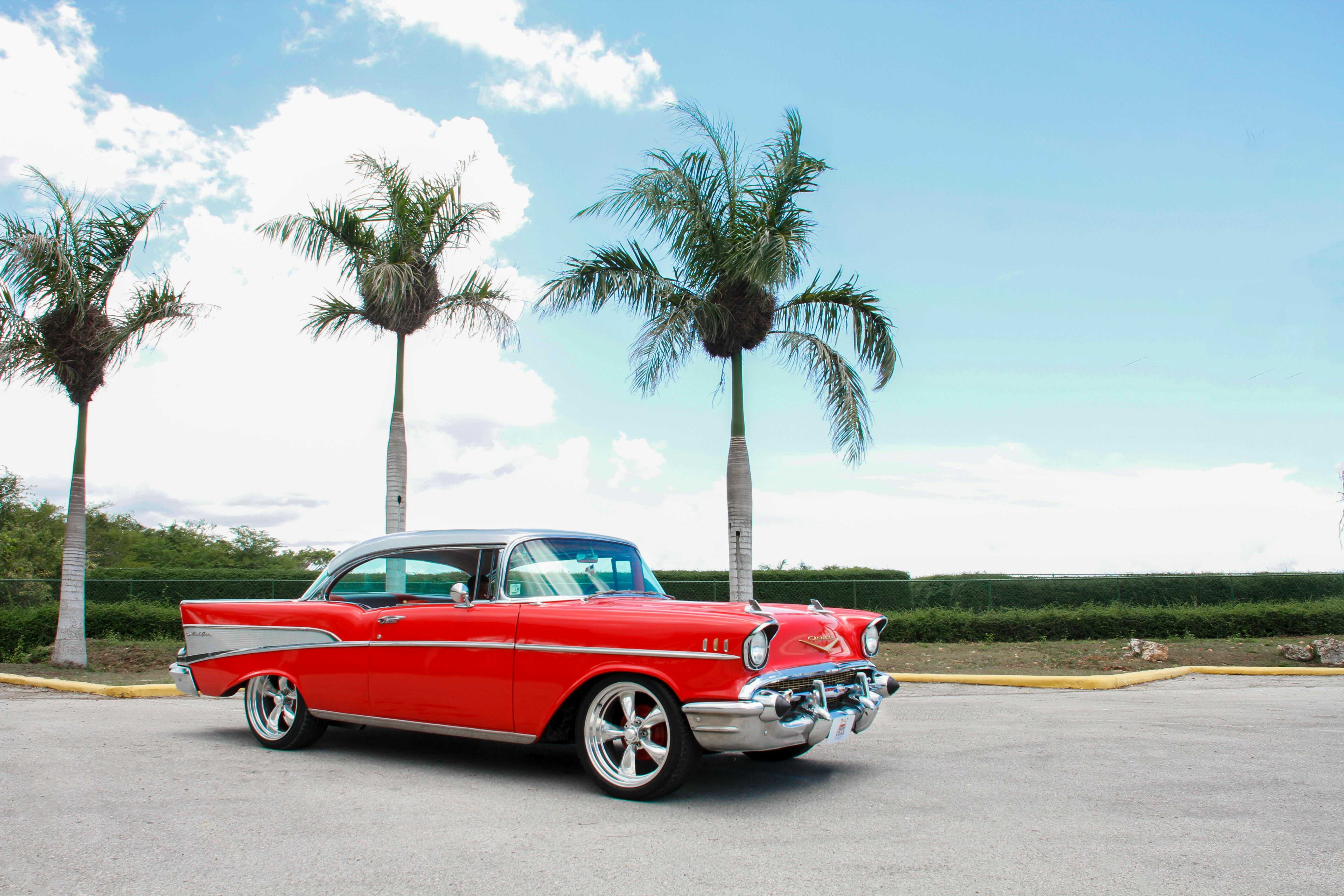 How to Protect Your Paint from the Harsh Summer Sun