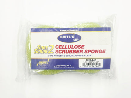SPONGE, BONE