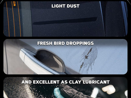 Meguiar's Quik Detailer Spray and Clay Kit (G10240)